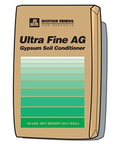 Gypsum