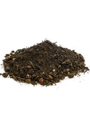 Veggie Mix