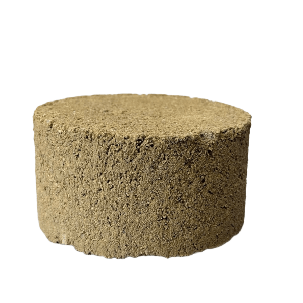 Terrapave Tan - Image 3