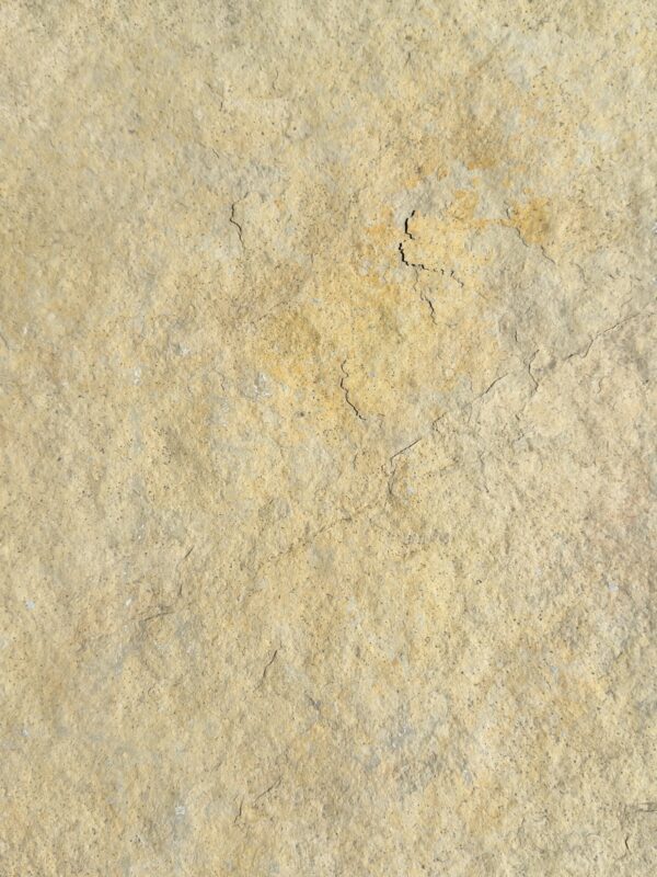 French Vanilla 2" Stand Up Flagstone