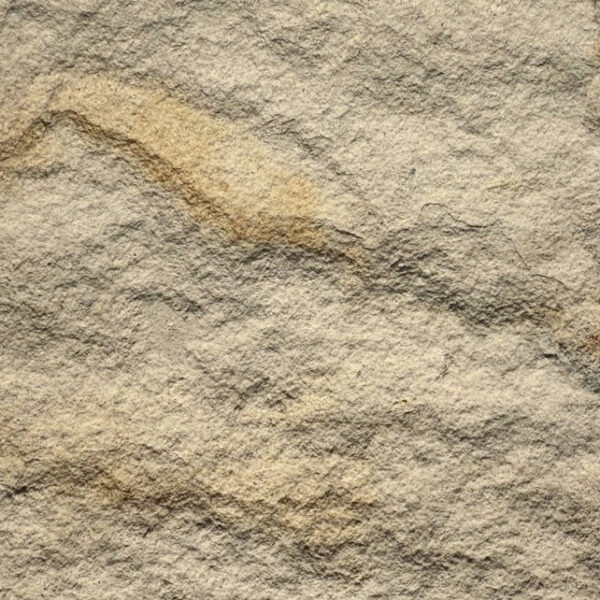 Mocha Cream - Image 4