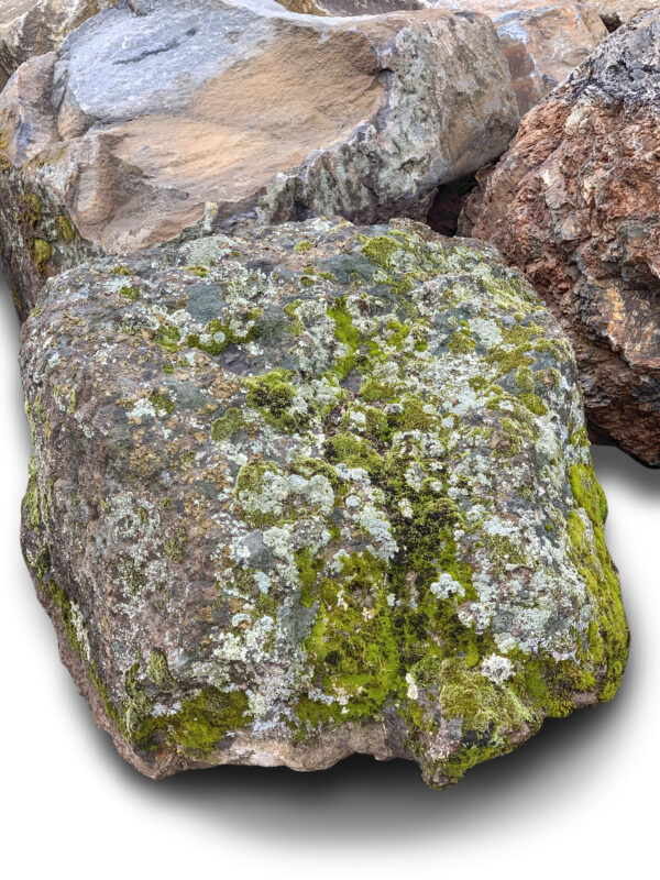Sonoma Fieldstone Boulder