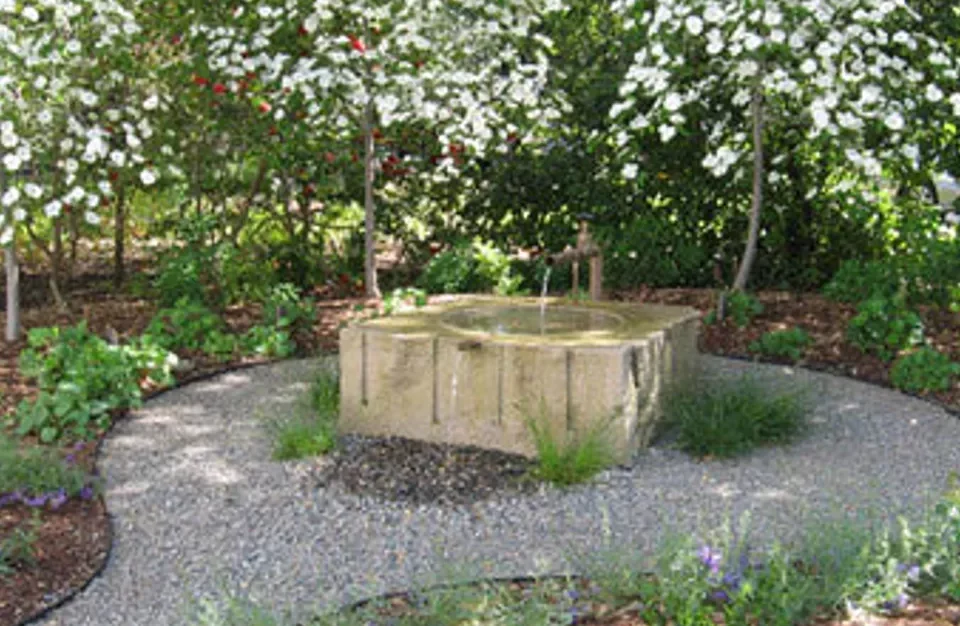 Water Fountain