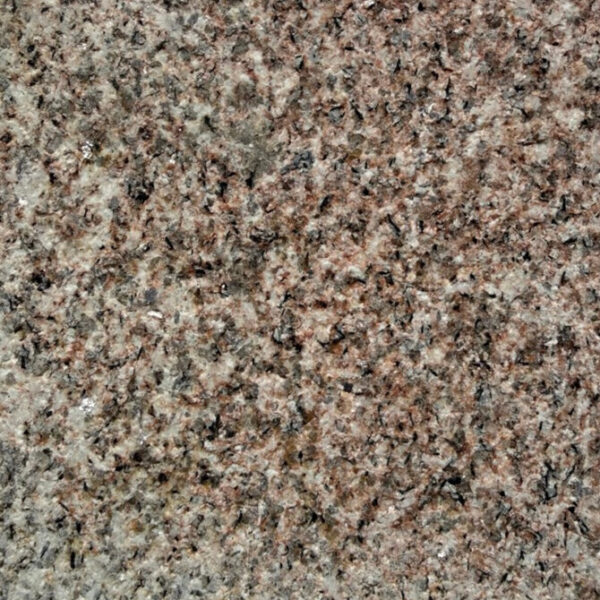 Ambra - Image 7