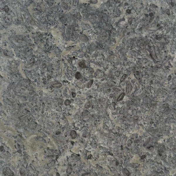 Aqua Paradisio - Image 3
