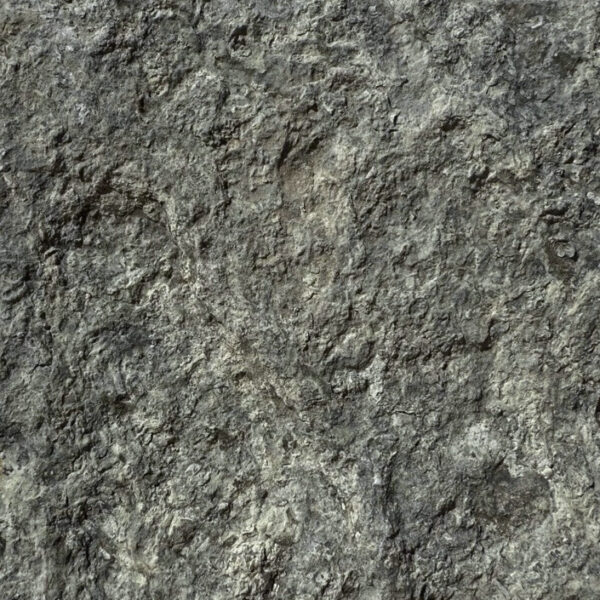 Aqua Paradisio - Image 7