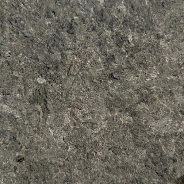 Aqua Paradisio - Image 6