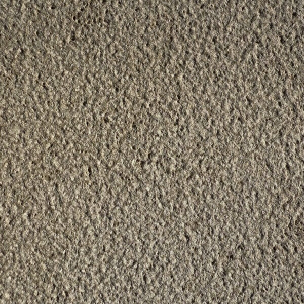 Cambria Buff - Image 4