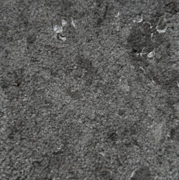 Carbon Gray - Image 4