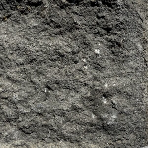 Carbon Gray - Image 6