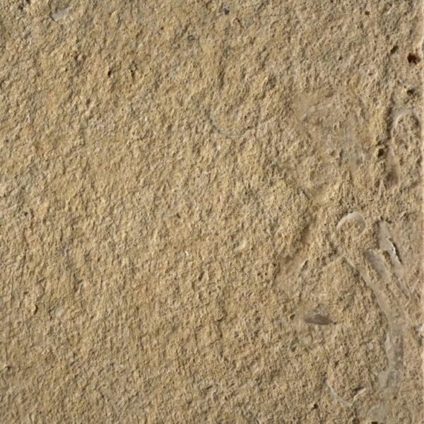 Cedar Hill - Image 3