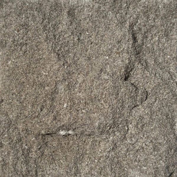 Indiana Buff - Image 6