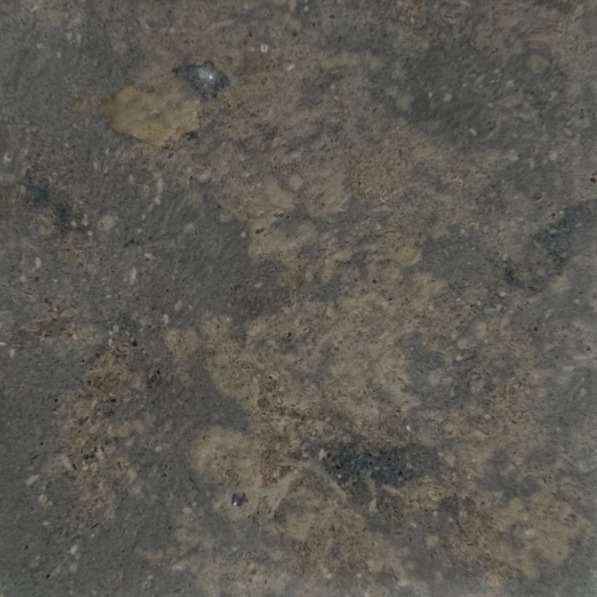 Luna Grey - Image 3