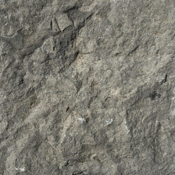Riviera - Image 8