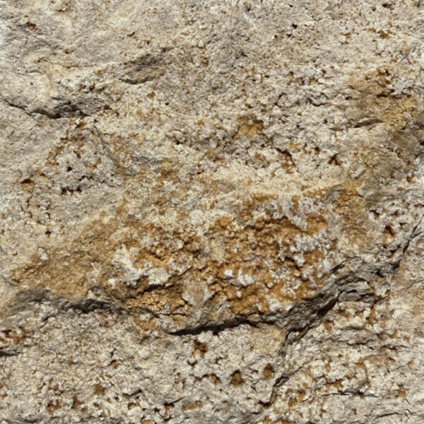 Sierra Gold - Image 7