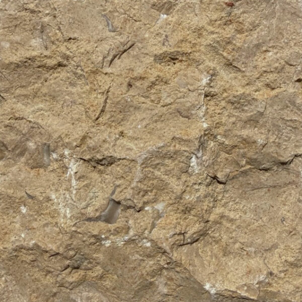 Ventana - Image 6