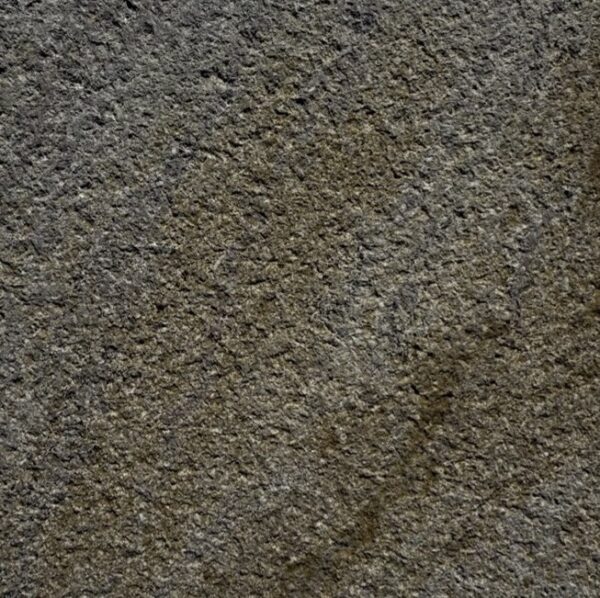 Vineyard - Image 3
